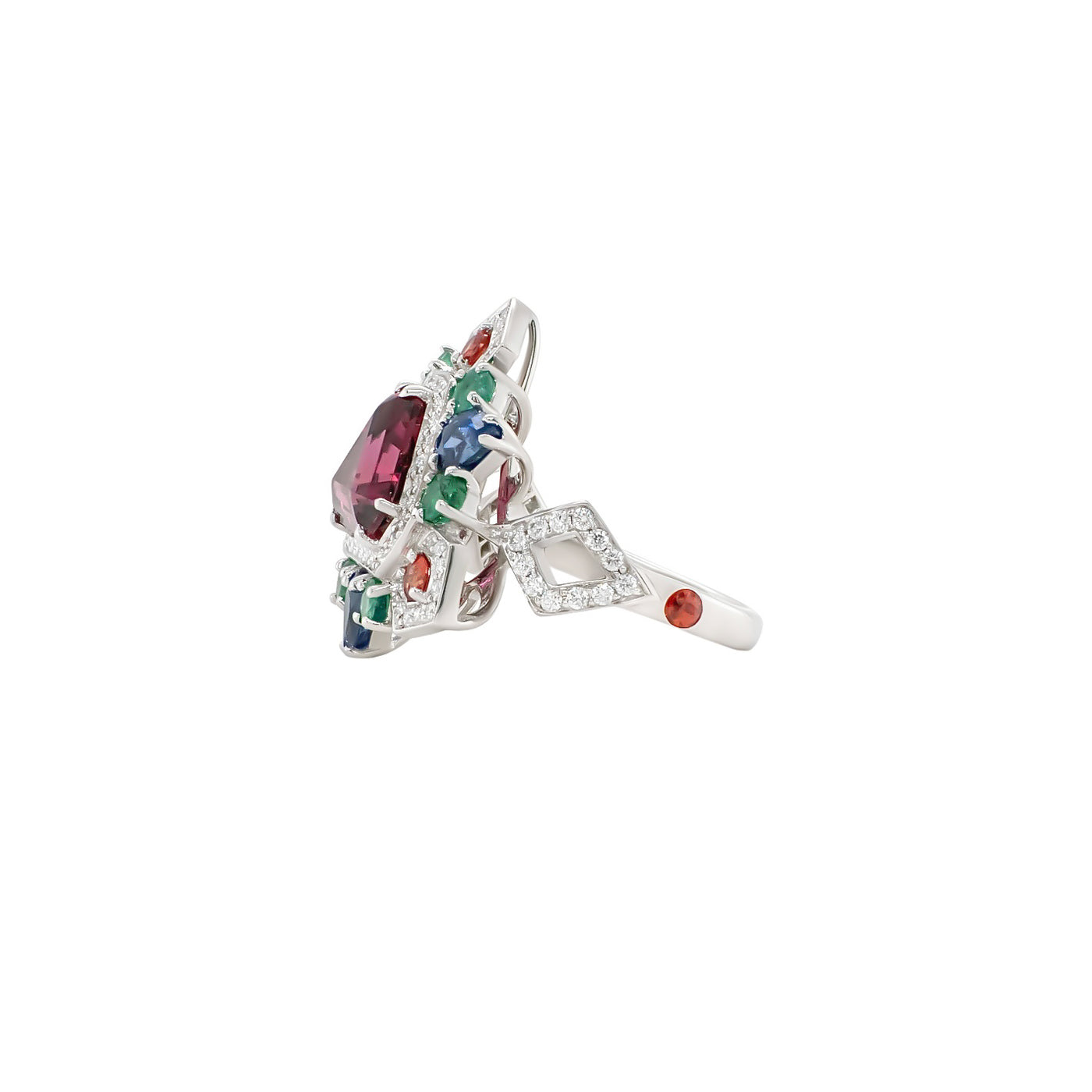 Rhodolite & Multi-Gemstone Ring