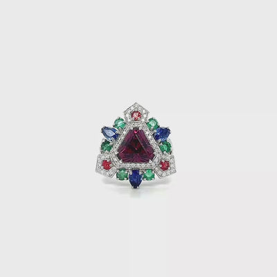 Rhodolite & Multi-Gemstone Ring
