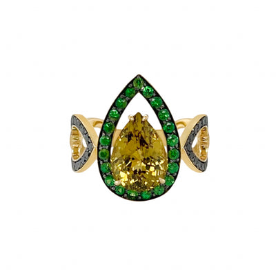 3.44 Carat Mali Garnet Ring with Tsavorite and Black Diamonds in 18K Yellow Gold